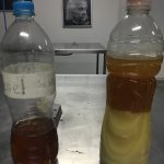 Método 5. Purificación del aceite