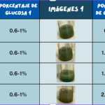 Resultados pruebas de ccontrol con y sin tinta